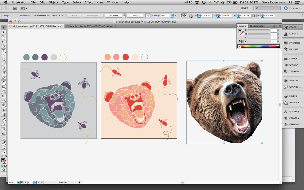 Vector Bear - image 2 - student project