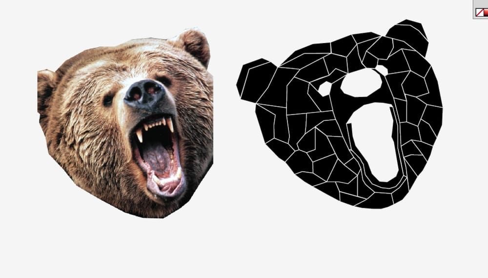 Vector Bear - image 1 - student project