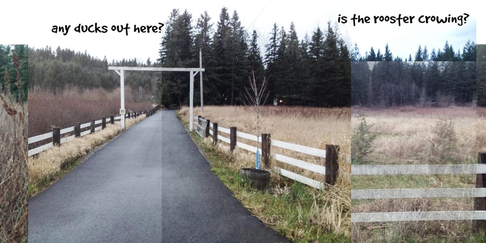 Ginger's Daily Walk - Adventures of a Golden Retriever in Pacific NW Suburbia - image 2 - student project