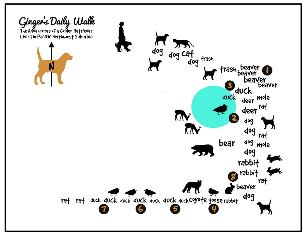Ginger's Daily Walk - Adventures of a Golden Retriever in Pacific NW Suburbia - image 15 - student project