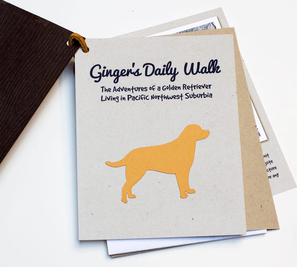 Ginger's Daily Walk - Adventures of a Golden Retriever in Pacific NW Suburbia - image 5 - student project