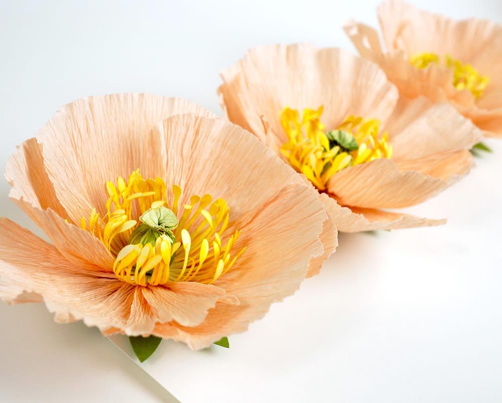 Crepe Paper Icelandic Poppies Commercial Use Pattern Felt Paper