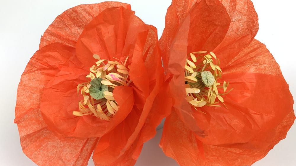 My Crepe Paper & Tissue Paper Poppies - image 2 - student project