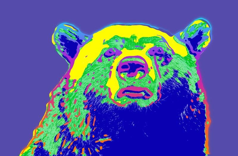 Warhol style animal - image 2 - student project