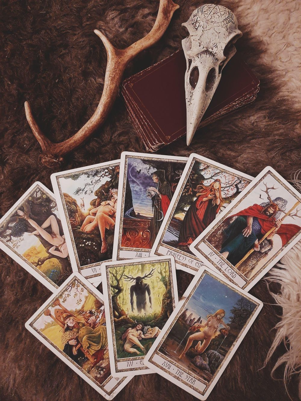 My Tarot Deck! - image 1 - student project