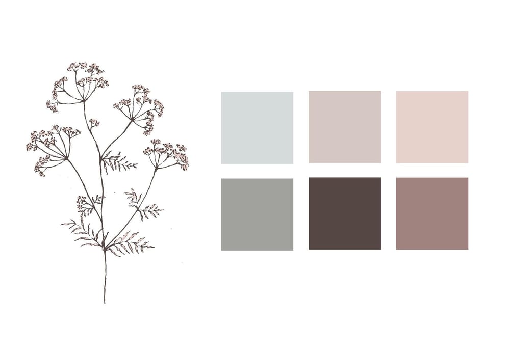 Pencil sketch botanicals - image 4 - student project