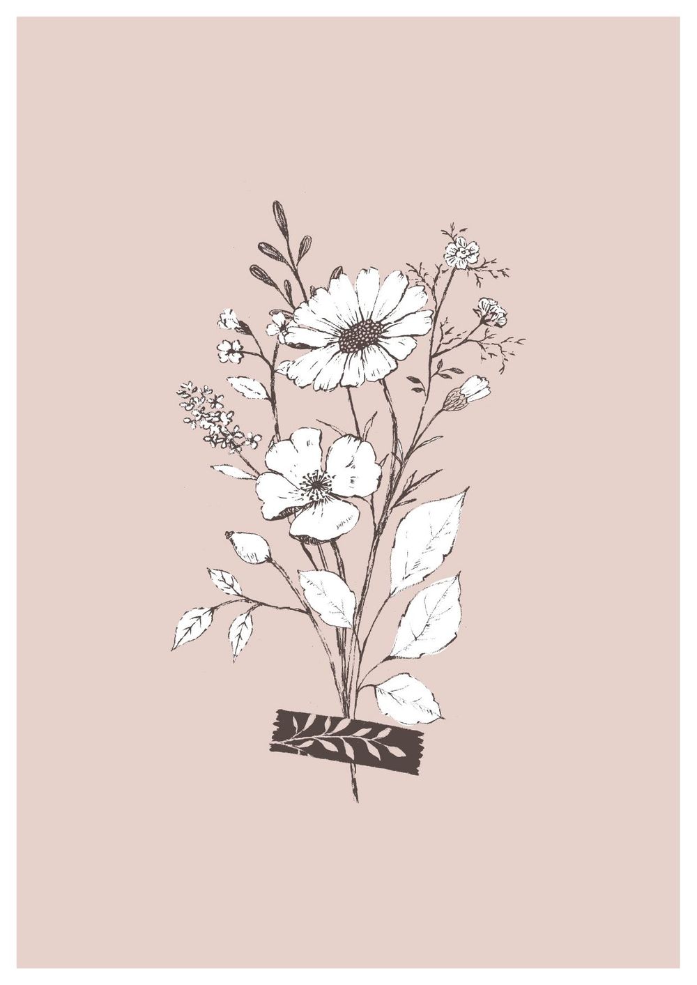 Pencil sketch botanicals - image 7 - student project