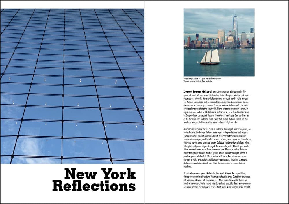 New York Reflections - image 1 - student project
