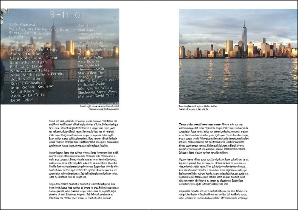 New York Reflections - image 3 - student project