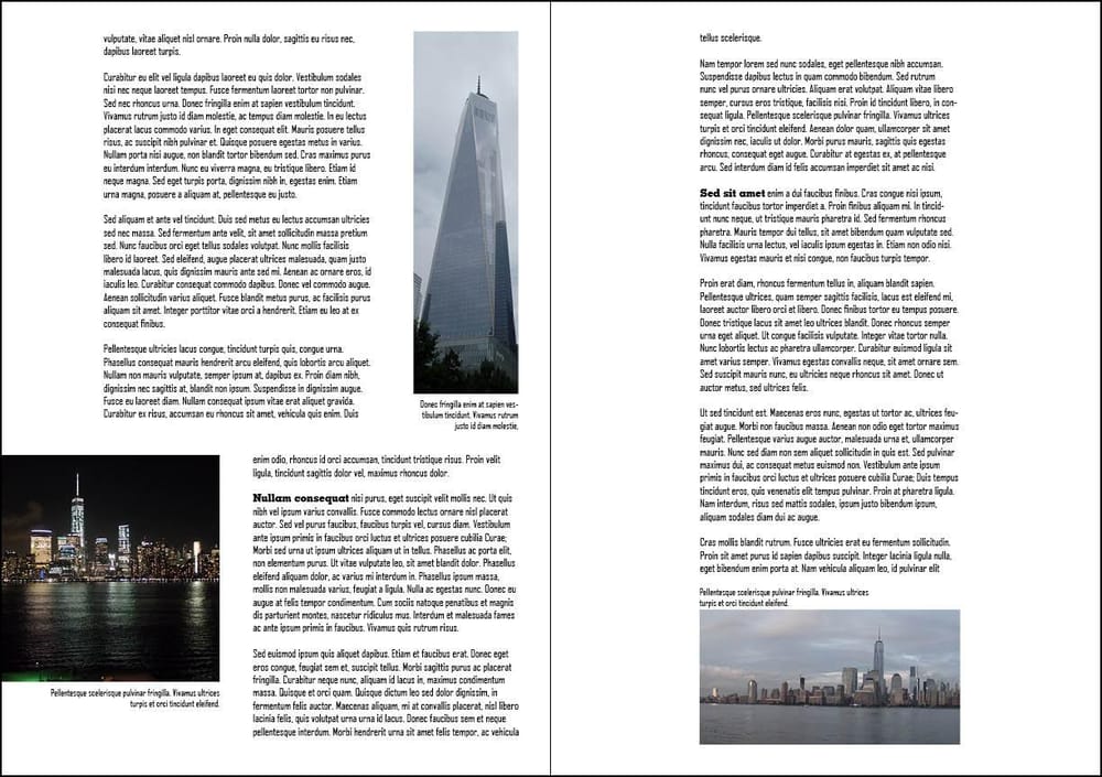 New York Reflections - image 2 - student project