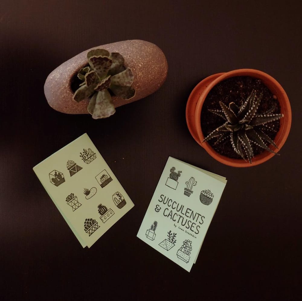Succulents & Cactuses Zine - image 6 - student project