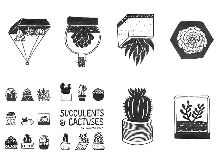 Succulents & Cactuses Zine - image 2 - student project