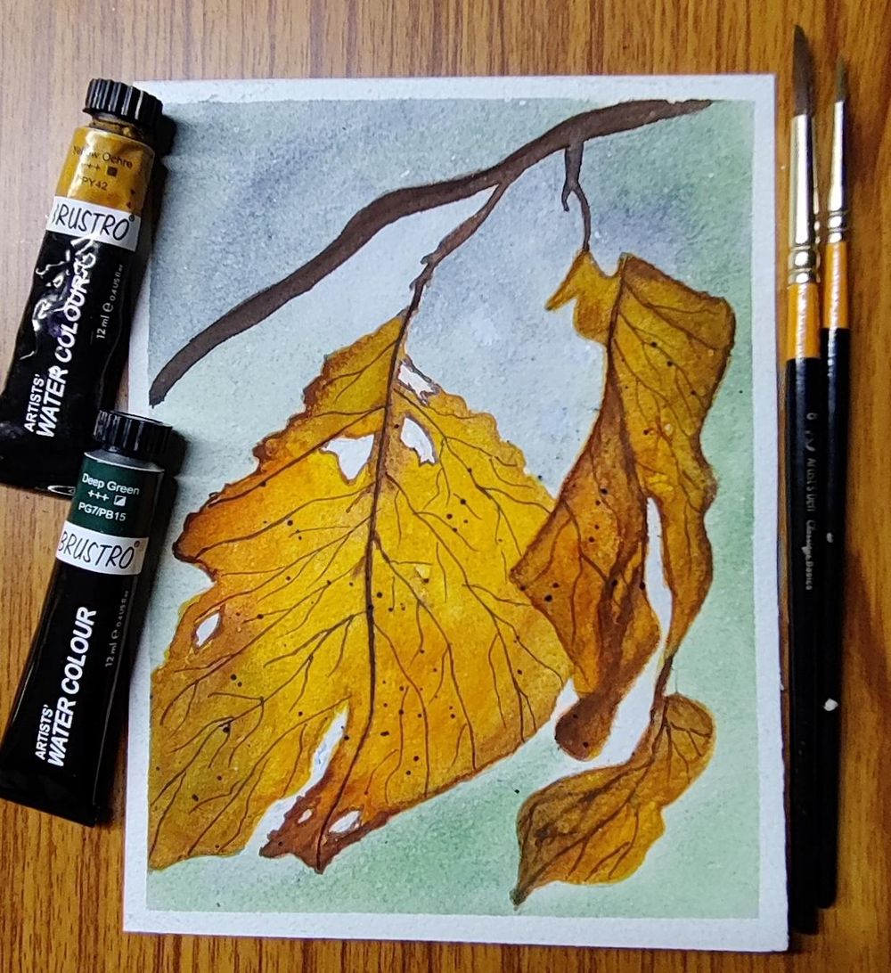 Gorgeous Autumn Landscapes - image 25 - student project