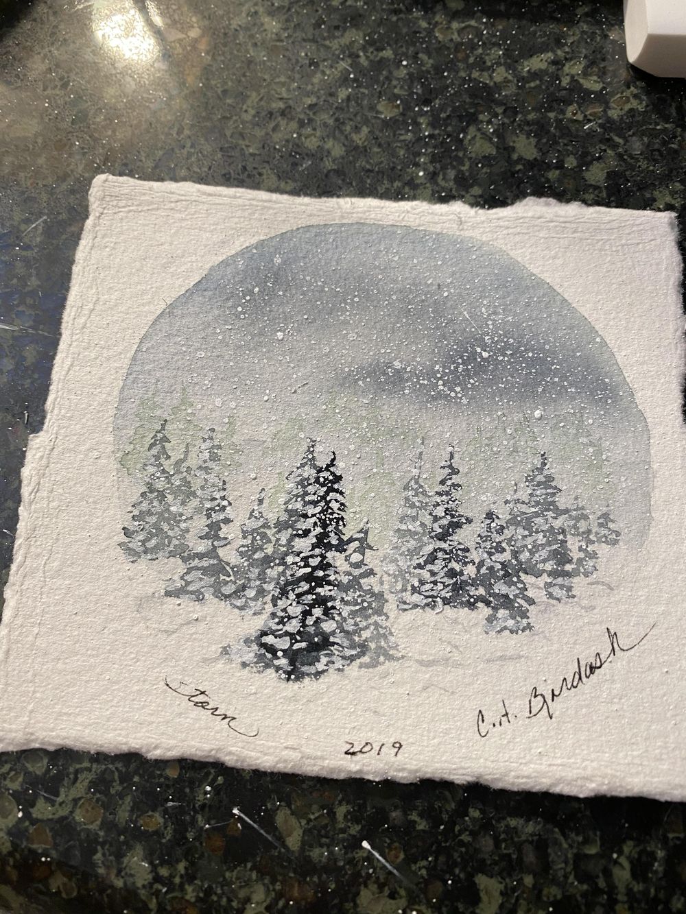 Wilderness Blizzard - image 2 - student project