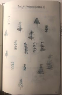 Drawing Challenge; 14 Days - image 6 - student project