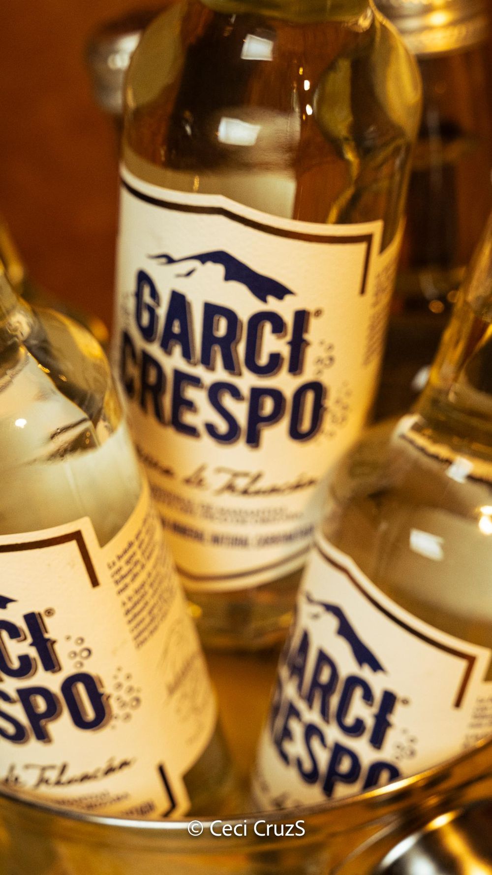 Garci Crespo Sparkling Water Portfolio - image 2 - student project