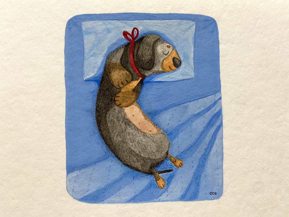 Sleeping Yumi-Yumi - image 1 - student project