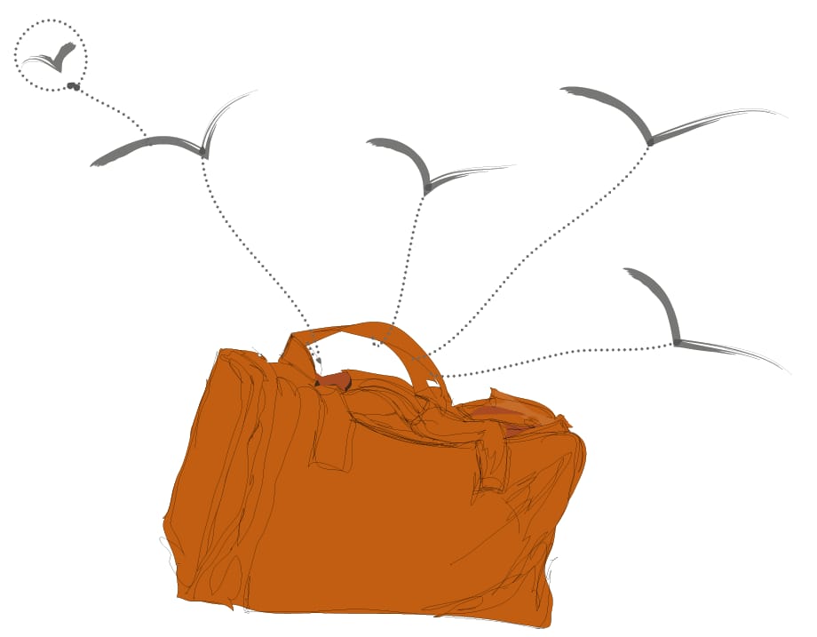 Perotá Chingo - image 10 - student project