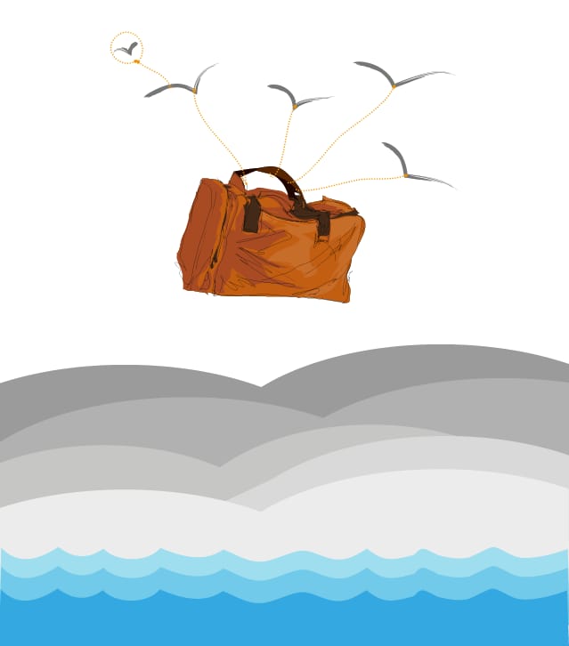 Perotá Chingo - image 12 - student project