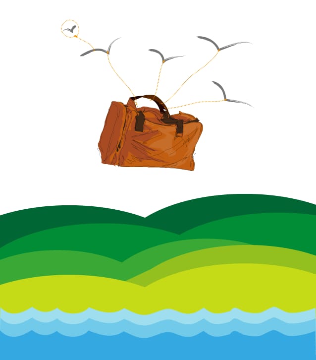 Perotá Chingo - image 13 - student project