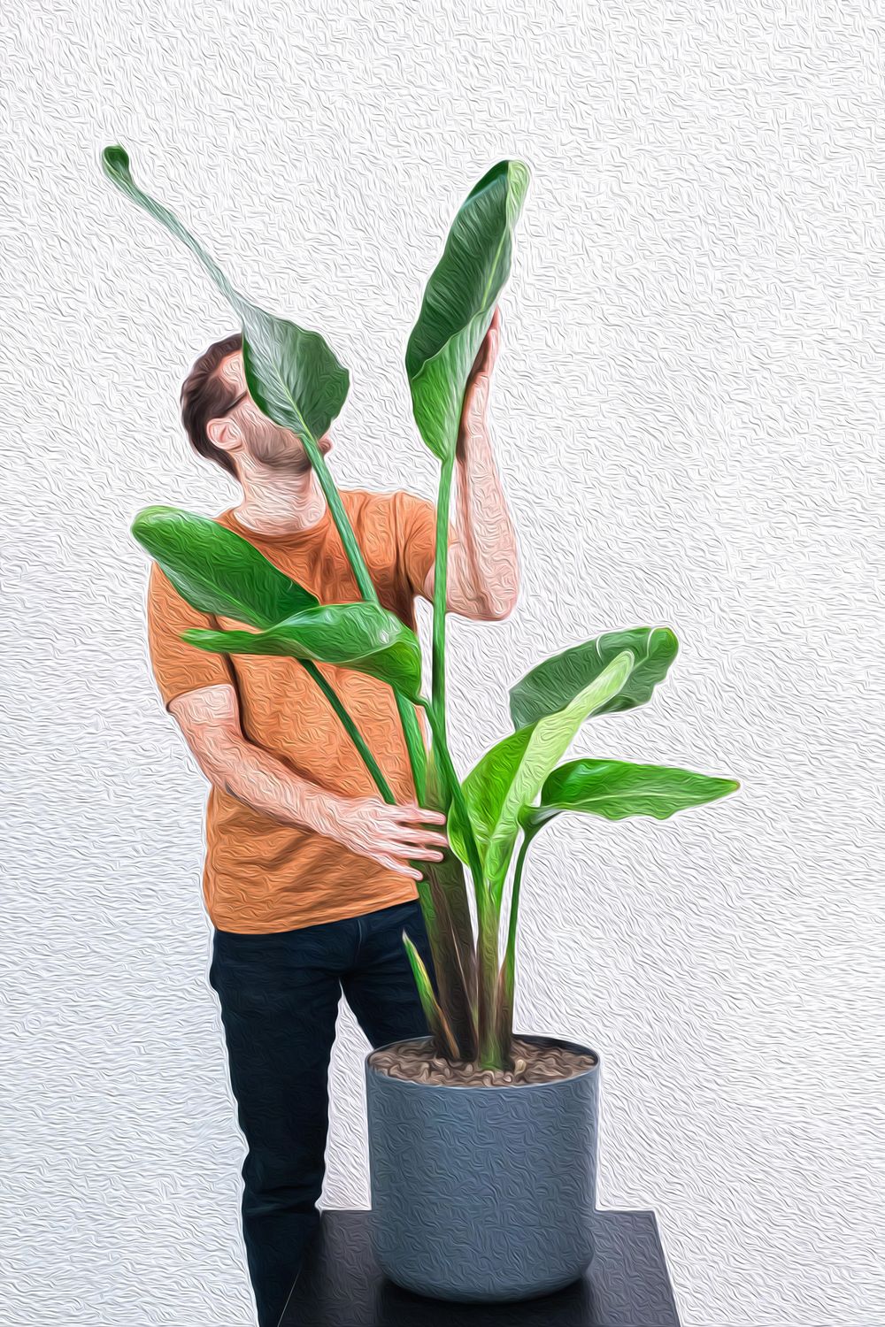 All Class Projects - image 7 - student project