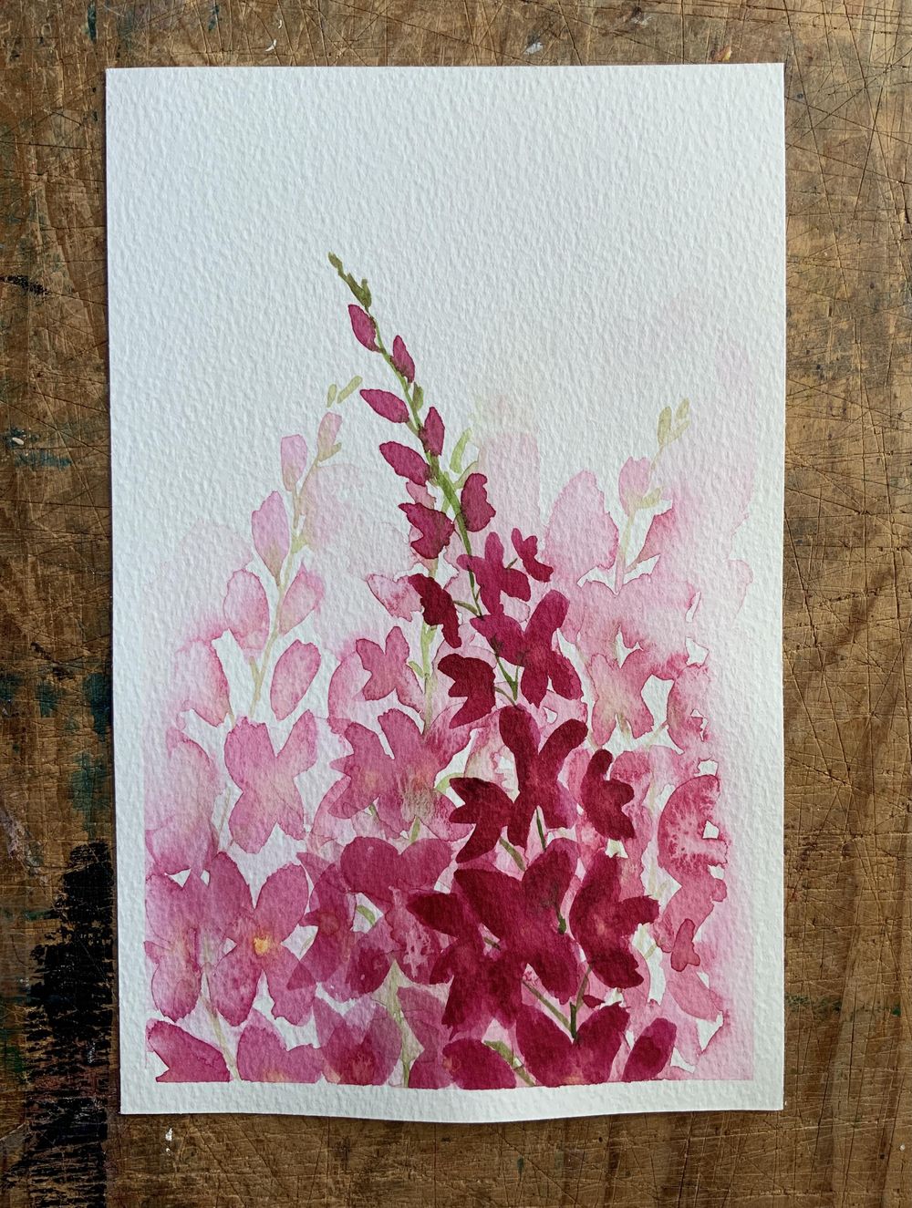 Loose Snapdragons - image 2 - student project