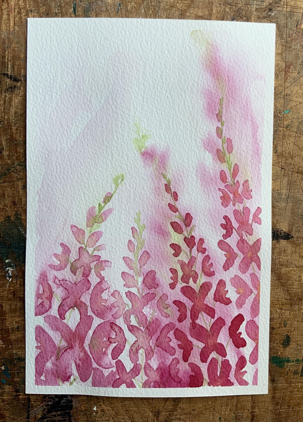 Loose Snapdragons - image 1 - student project