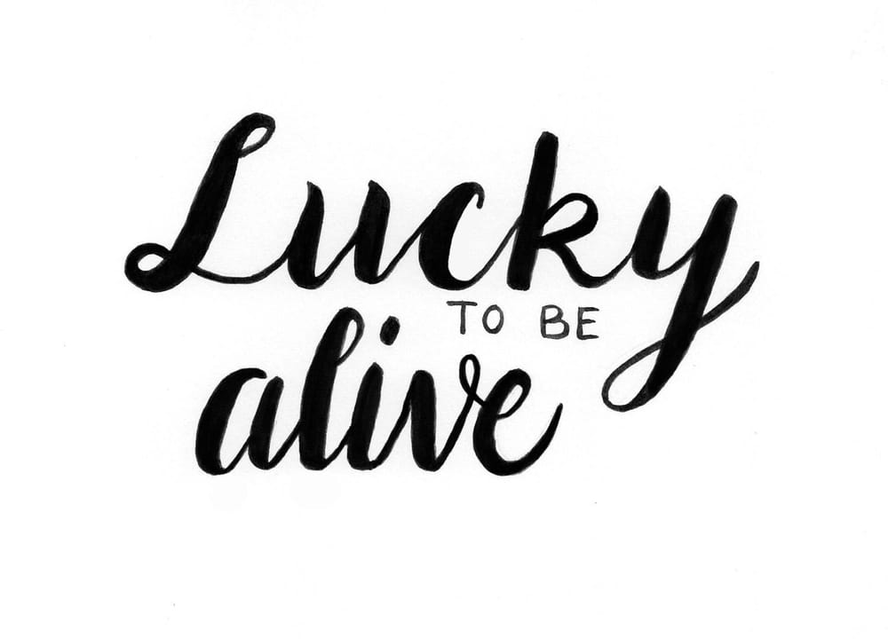Lucky to be alive - image 14 - student project