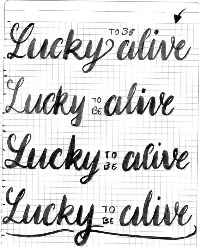 Lucky to be alive - image 11 - student project