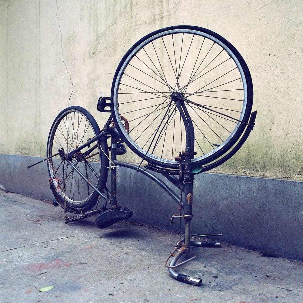 Cohesive Aesthetic - image 10 - student project