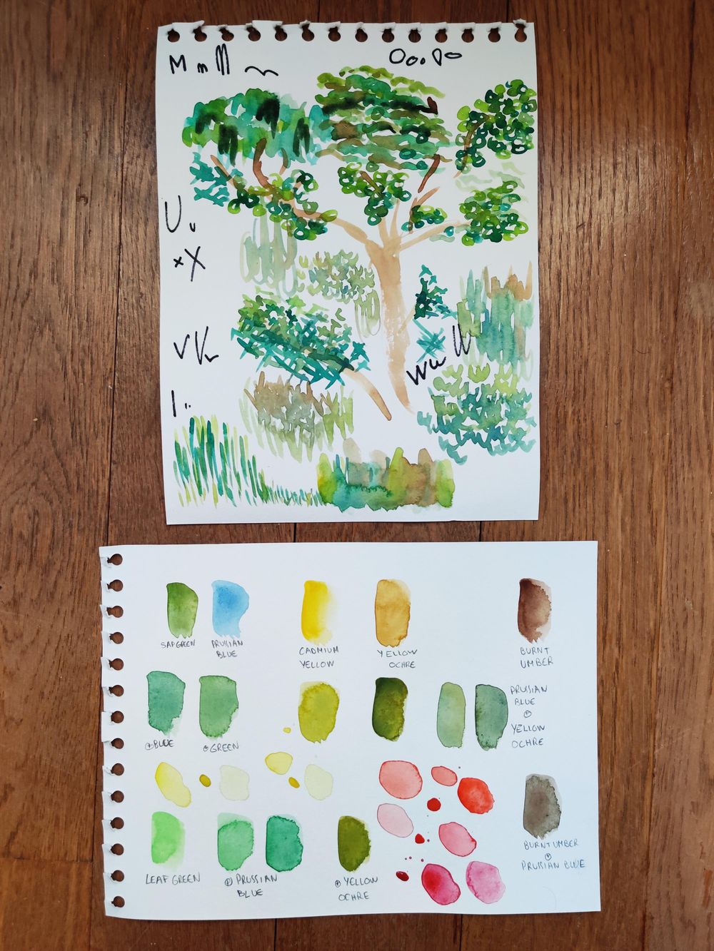 Practice tree : step by step - image 1 - student project