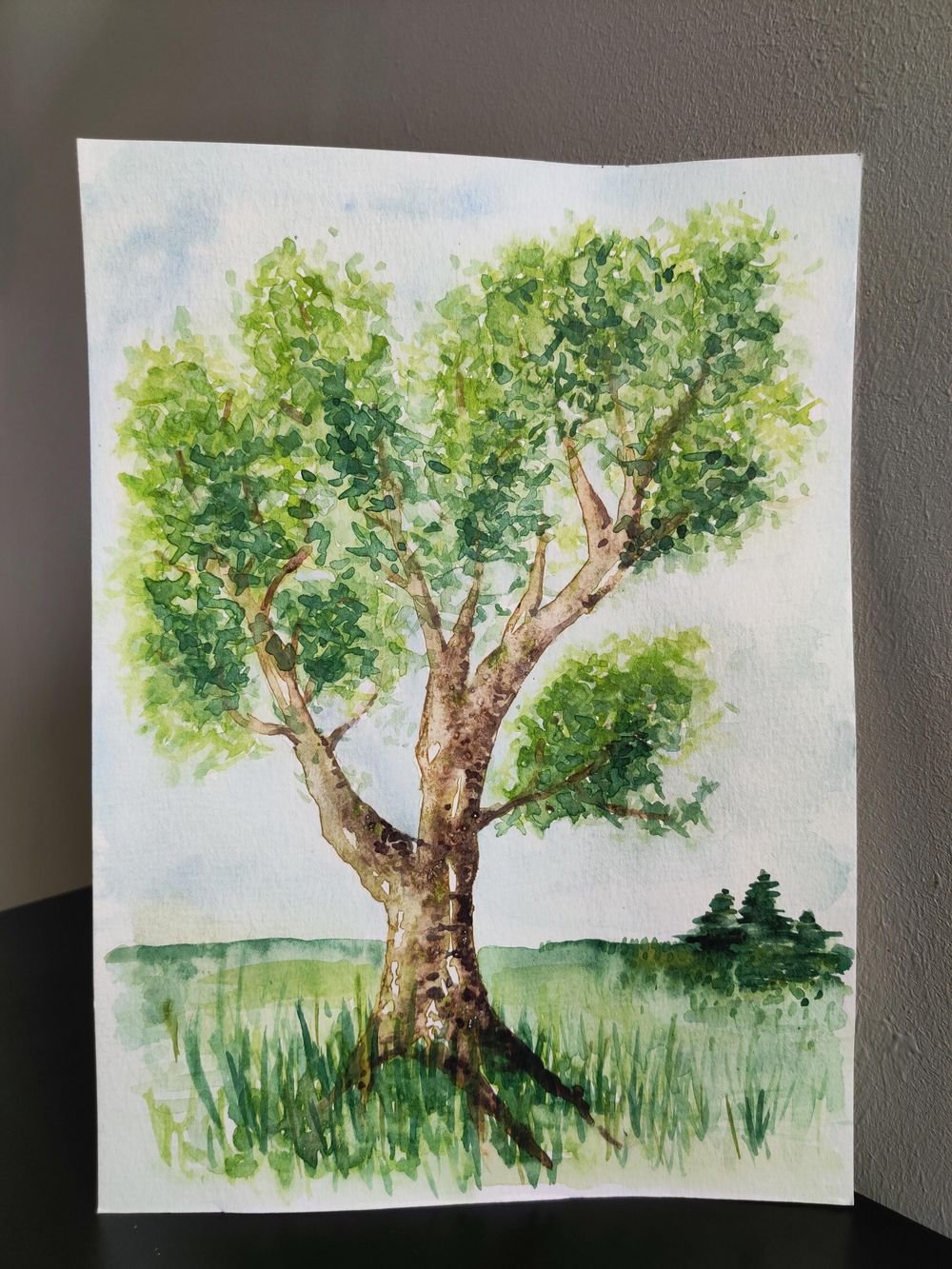 Practice tree : step by step - image 5 - student project