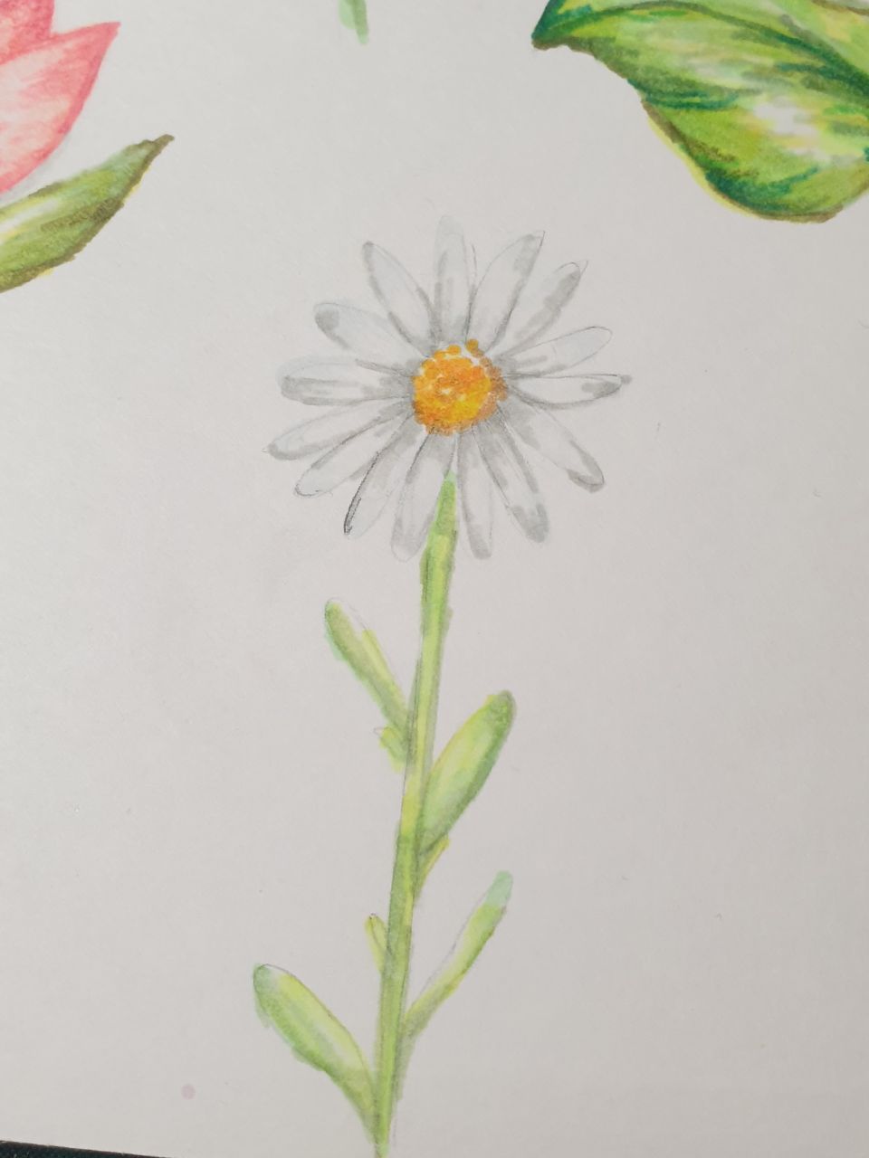 Colouring flowers with markers - image 3 - student project