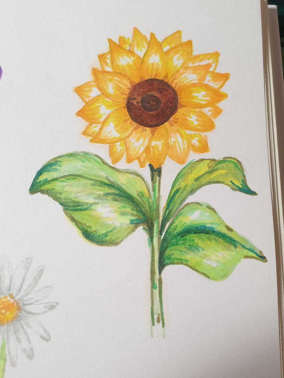 Colouring flowers with markers - image 2 - student project