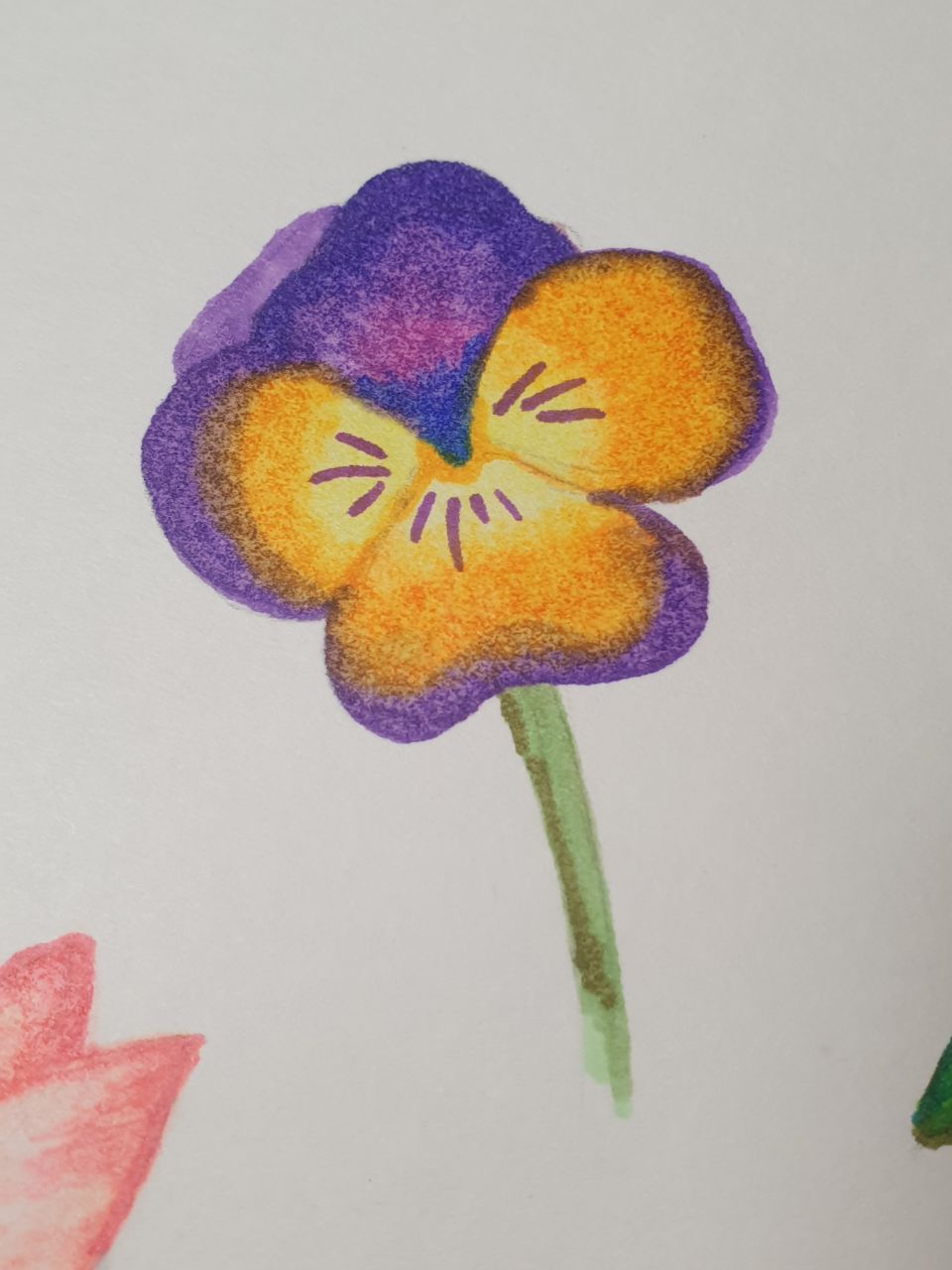Colouring flowers with markers - image 4 - student project