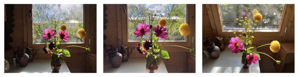Sample Project for: Turn Your Life into a Living - image 7 - student project
