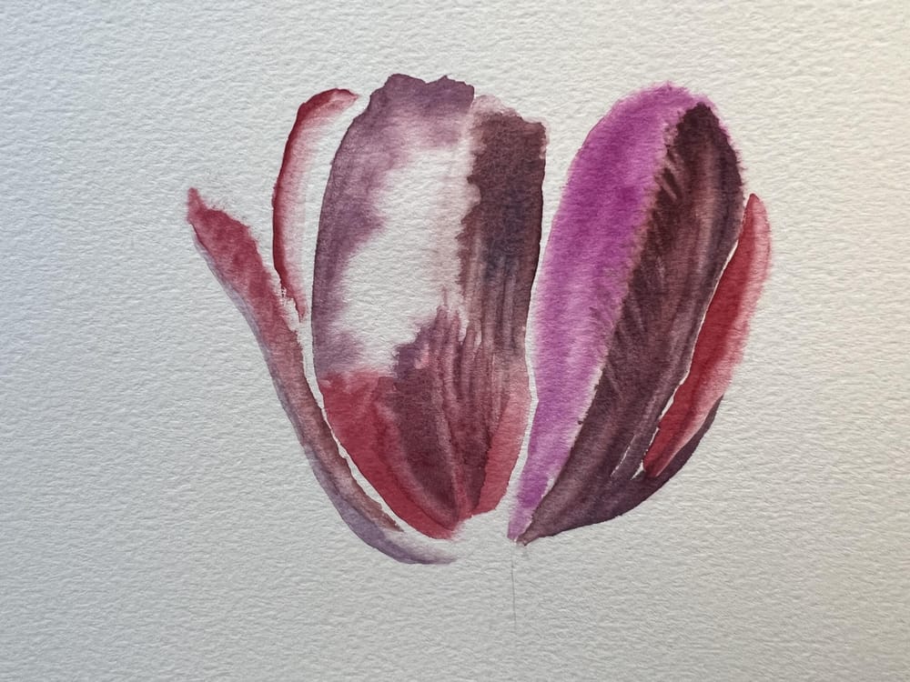 Tulip - image 1 - student project