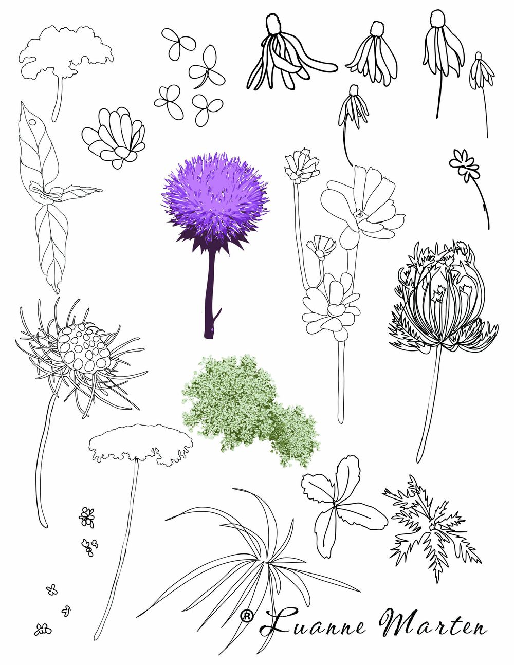 Illustrate from Photos and Paintings - image 5 - student project