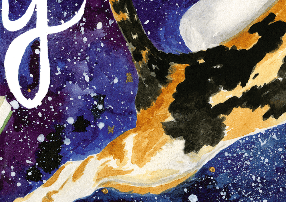 Editing Space Cats! - image 4 - student project