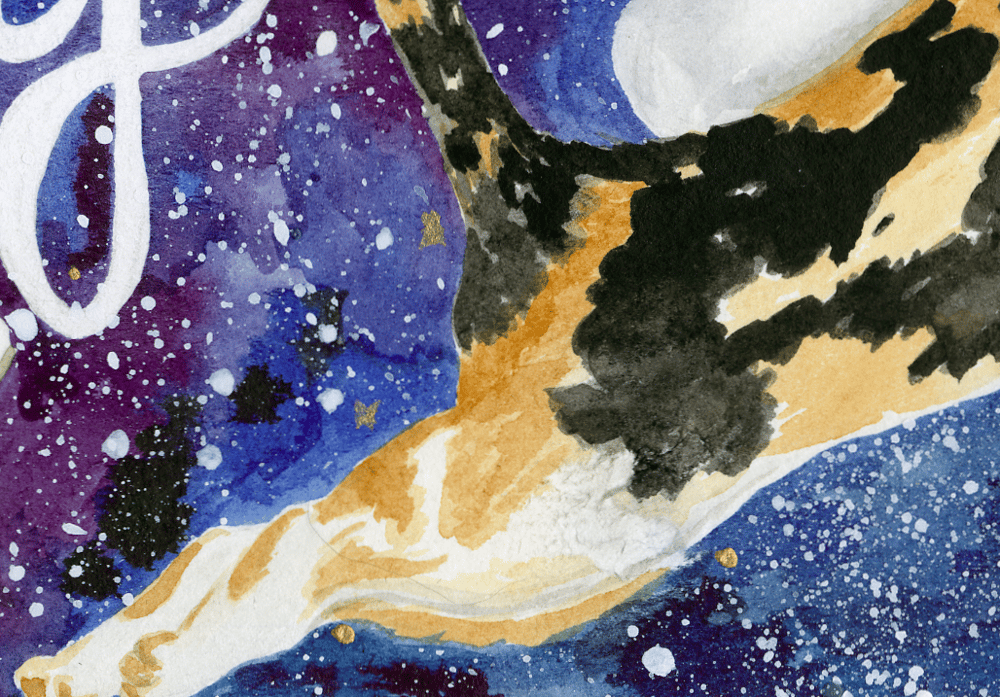 Editing Space Cats! - image 3 - student project