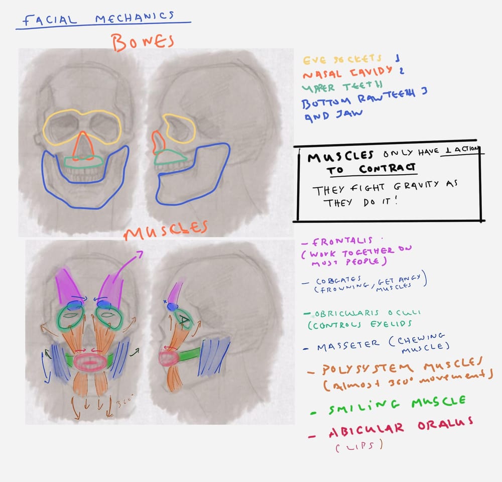 Lesson exercises - image 2 - student project
