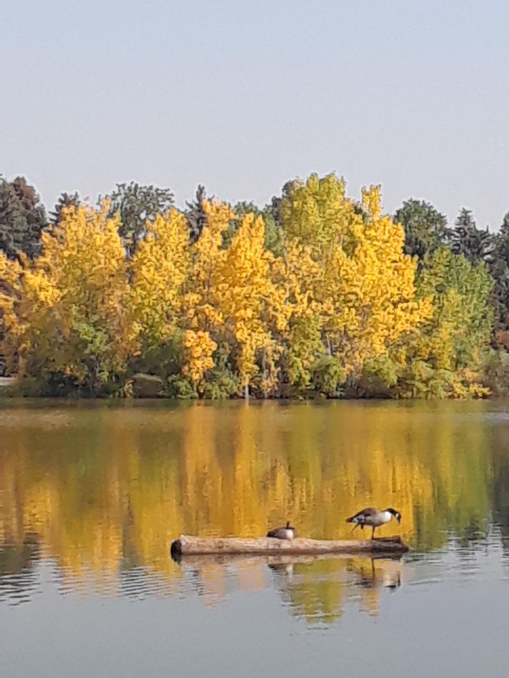Seasons in the park - image 1 - student project