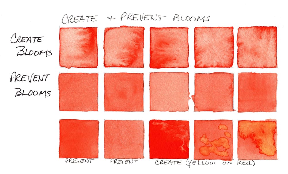 Water Control Techniques Skillshare Student Project