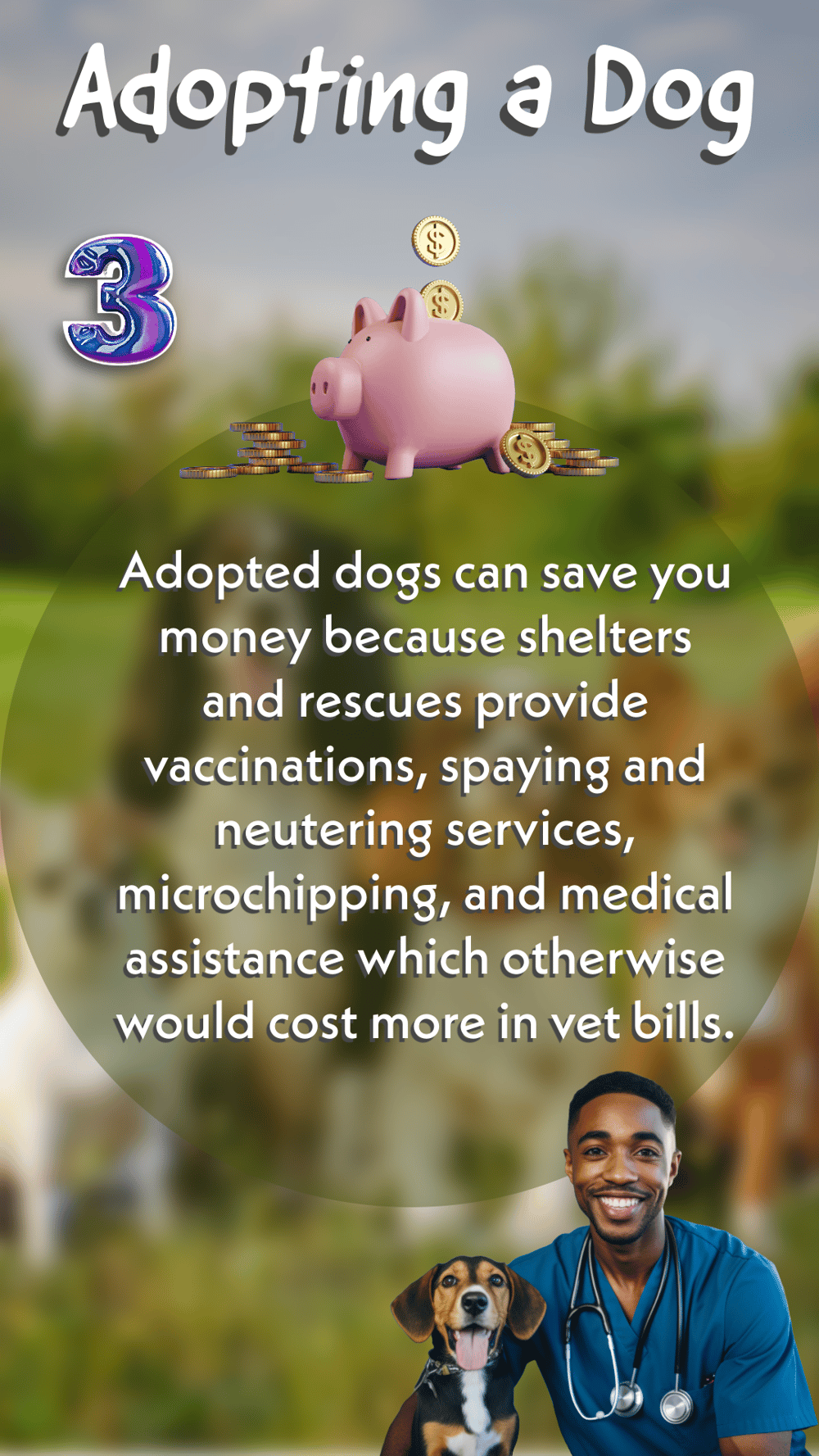Adopting a Dog - image 3 - student project