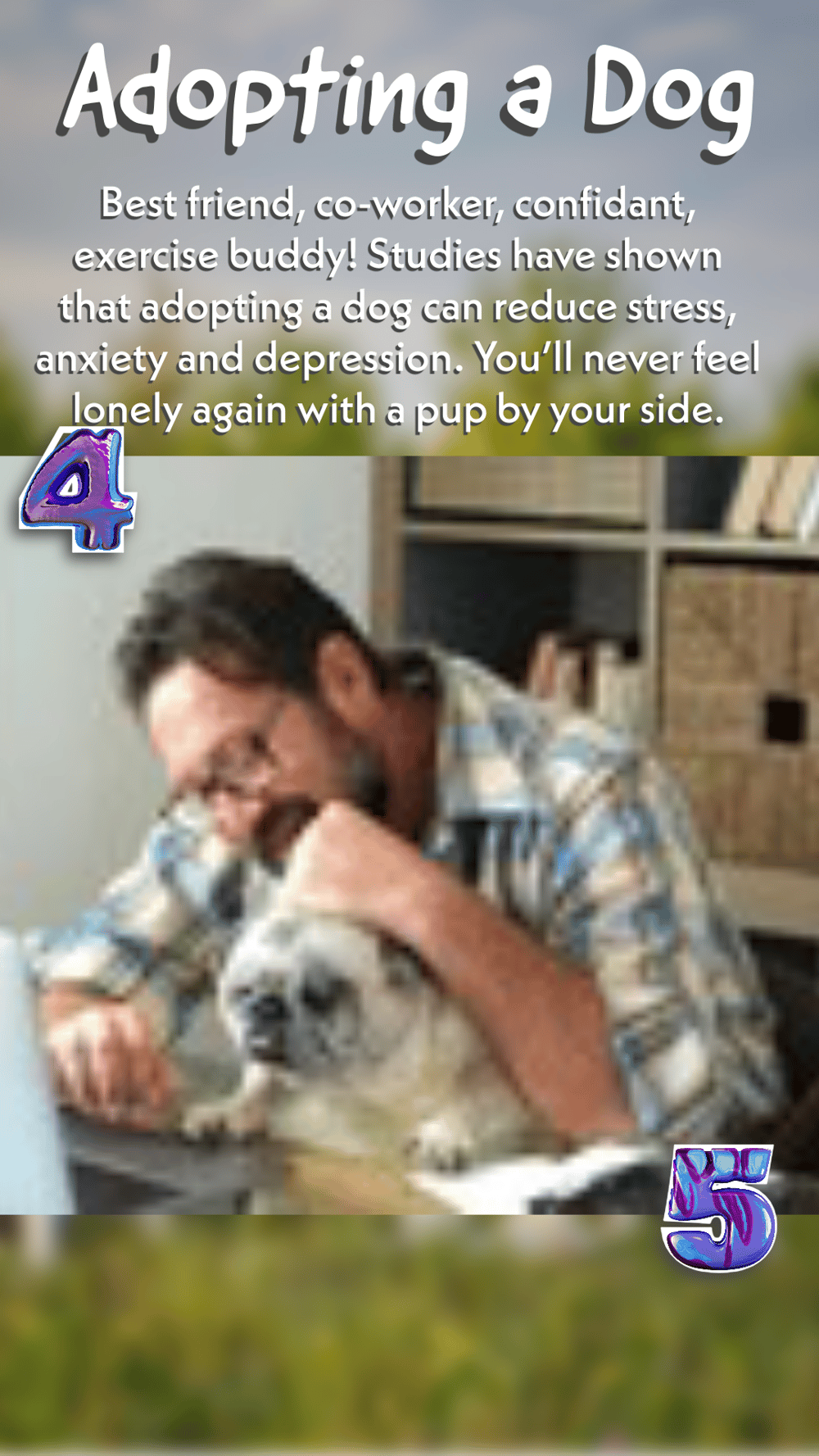 Adopting a Dog - image 4 - student project