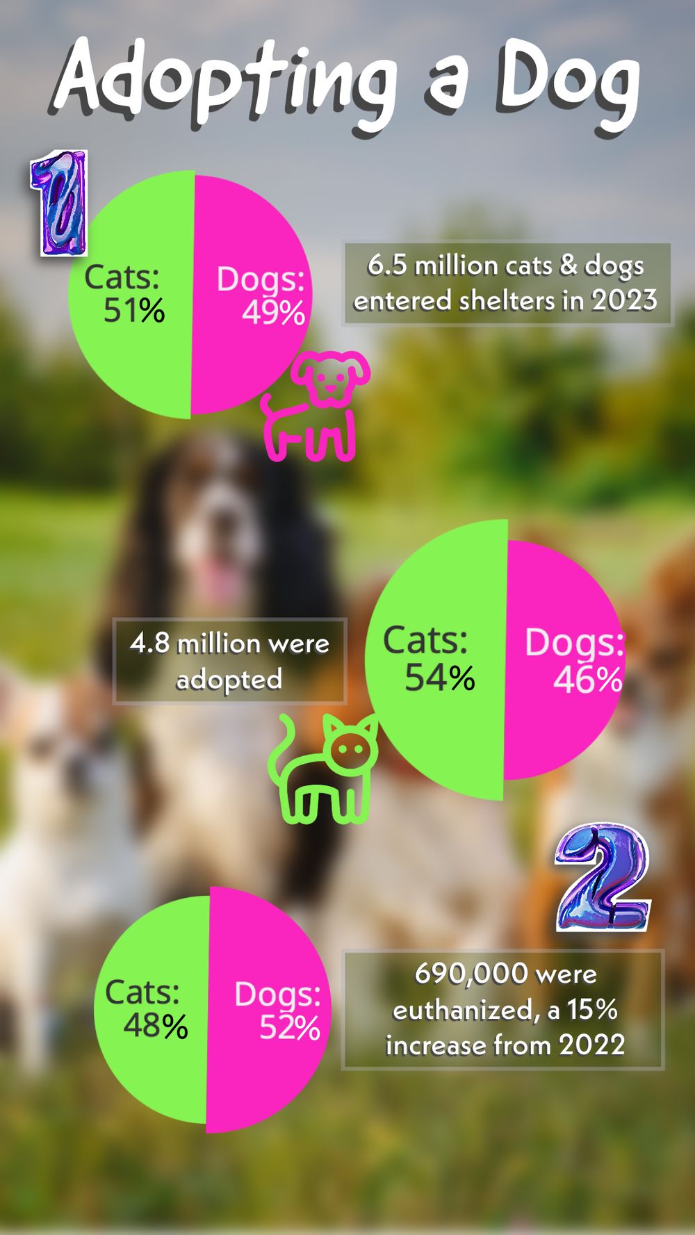 Adopting a Dog - image 2 - student project