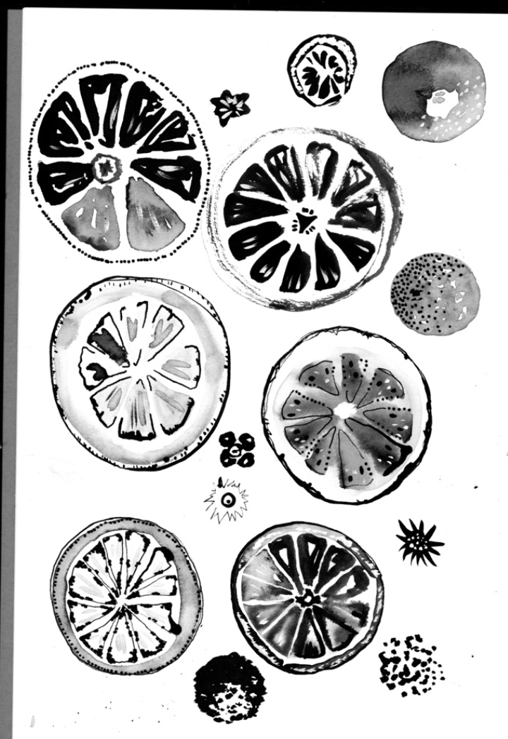 Oranges - image 1 - student project