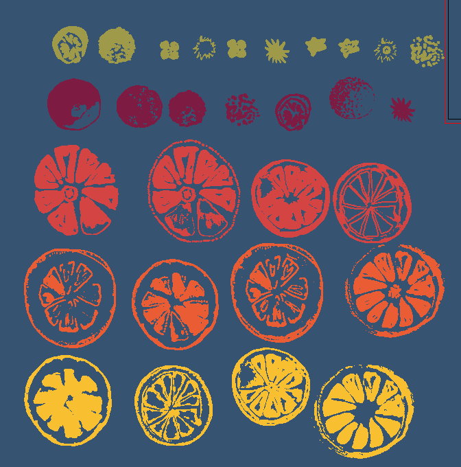 Oranges - image 2 - student project