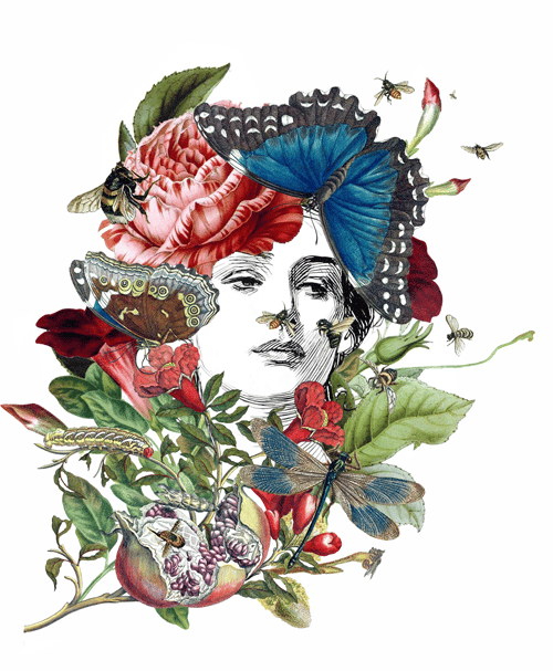 A Lady in Summer - image 4 - student project