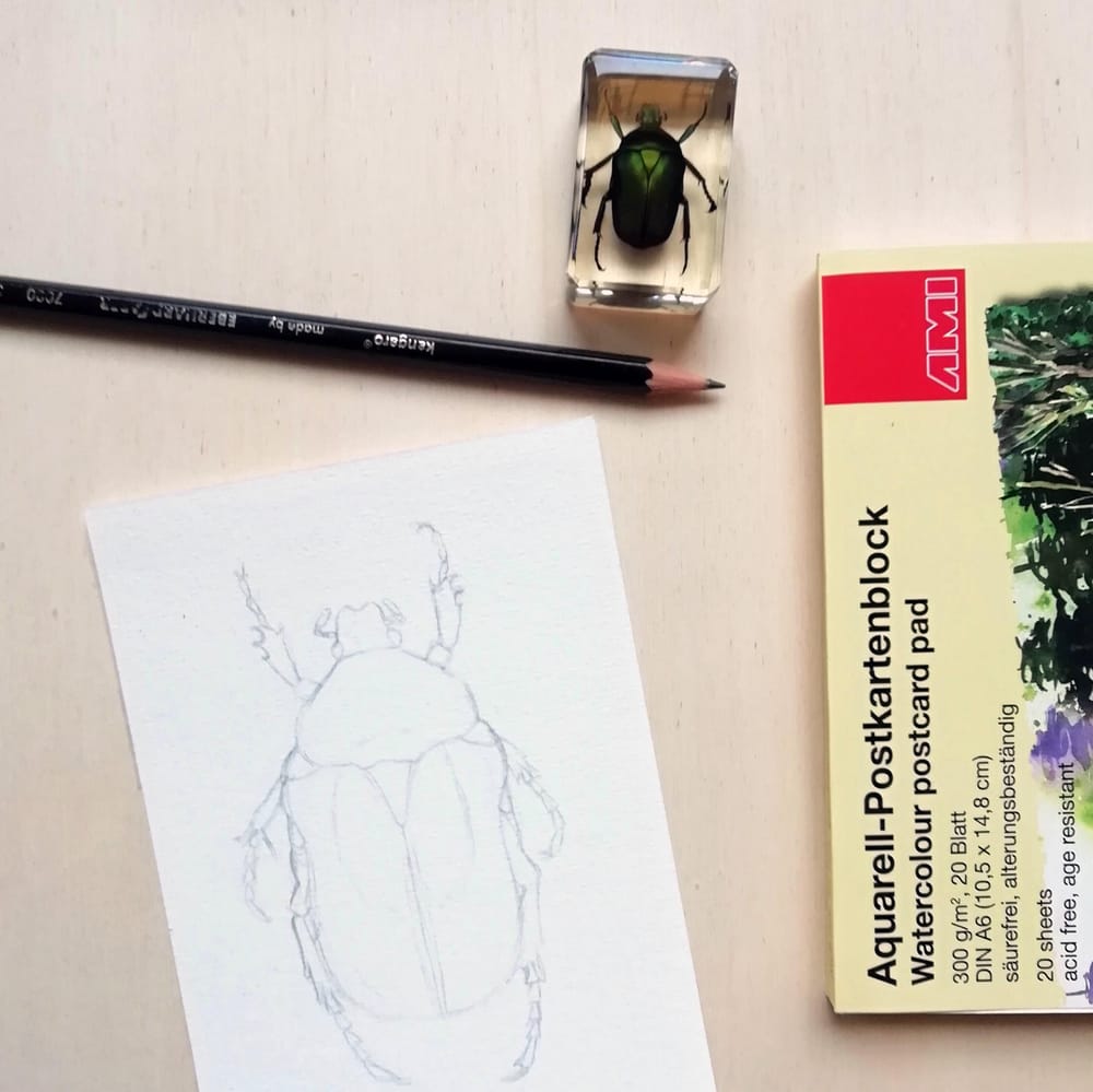 Rose Chafer mixed media drawing - image 1 - student project